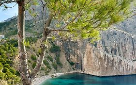 Can Luc Altea
